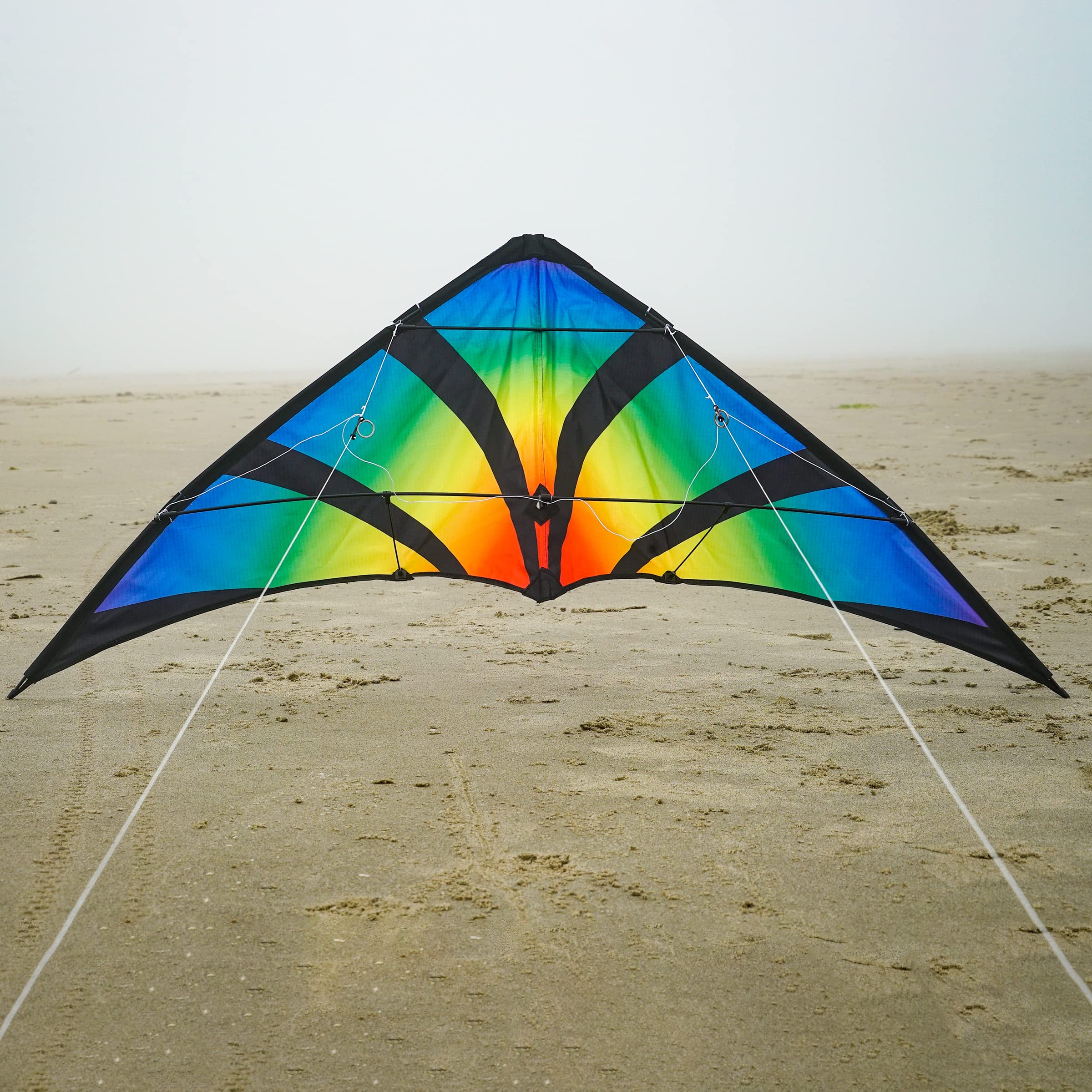 Amazon.com: In the Breeze 3346 —Aurora 48